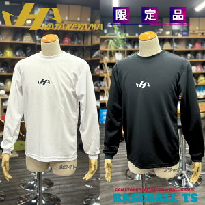 싅 n^P} HATAKEYAMA i Svg OTVc HF-SNT25  ubN zCg x[X{[TS