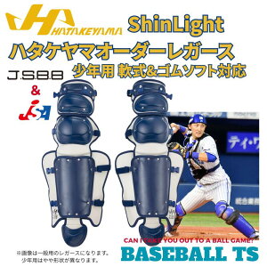 싅 n^P} HATAKEYAMA I[_[ WjAK[XiShinLight) N싅ES\tgΉ Lb`[MA Lb`[h ߎ h CG-NOJS  x[X{[TS K-FIELD