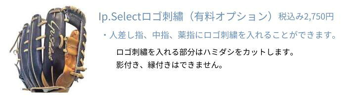 楽天市場】2024年 野球 アイピーセレクト Ip.セレクト オーダー 硬式 