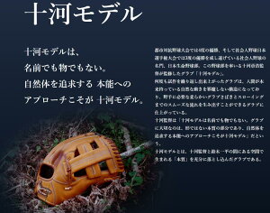 アイピーセレクト 硬式内野手用グラブ 十河モデル Ip.1050-18-Gr クレシオンパートナーモデル G-REALコレクション グローブ 送料無料 日本製