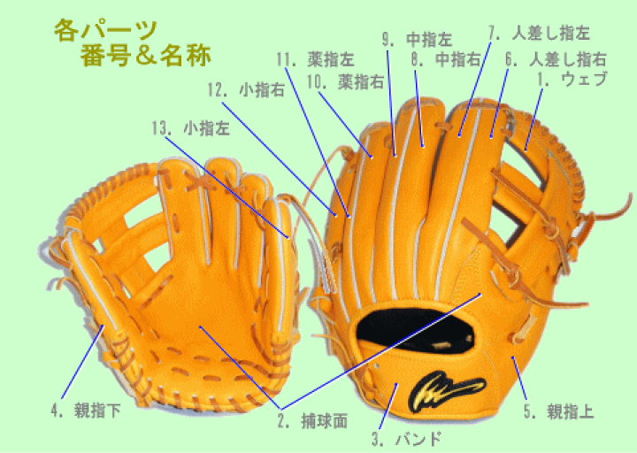 アイピーセレクト　加藤商品 楽天市場】【型付け無料】 野球 アイピーセレクト 硬式