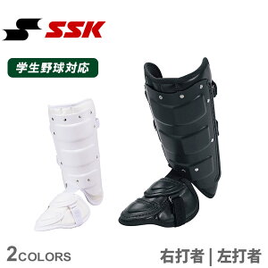 GXGXP[ tbgK[h EŎ FG100L veN^[ jZbNX ubN  zCg  SSK FG100L Ŏҗp h bOK[h