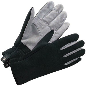 Lo kO[u ^ o kނ  lIv[ ۉ woXbgdl