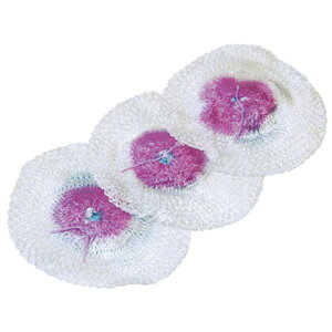 |Cg5{N[|\g }g 3 (ST-2101) ^ KX^pANZT[ Lv oR IvVp[c eiX XyA ւ \ p