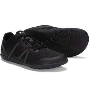 [V[Y Xs[htH[X2 fB[X (STW) ^ gCjO xAtbg V[Y [Jbg y [hbv  igɂ