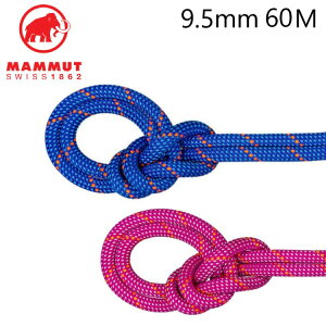 y }[g 9.5NbO hC [v 60m z hCH{AAEghA̎gpɂChAX|[cNC~OɂœKȃf nhO,a,y,\Ƃȃo