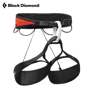 y ubN_Ch GAlbgY z y K GAlbgeNmW[ CtBjeB[v BDAX[g`[Ƃ̃R{[Vf n[lX NC~OMA N