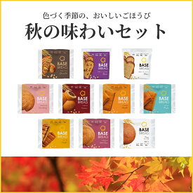 【エントリーポイント 10倍】ベースブレッド 10種 20袋 パン [ チョコ・ミニ食パンレーズン・ミニ食パンプレーン・ストロベリー・こしあん・メープル・ミルク・カレー・さつまいも・プレーン］ ダイエット食品 完全栄養食 低糖質