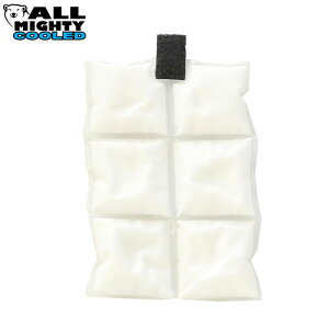 I[}CeB MǑ΍ ACVO ۗ ₽Ȃ14x 2Ԏ EgN[ PCM6 mig19fw mig23cool