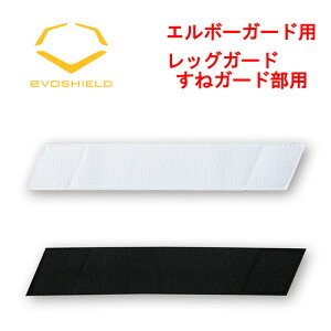 y K戵X G{V[h ւpXgbv 2.0C` ZΉ dh q\tg{[ EVO SHIELD WTVST20 evo21ss 202101-new