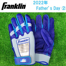 あす楽 フランクリン 野球用 バッティング手袋 カスタム 2022年父の日2 天然皮革 CFX PRO CUSTOM fra22ss
