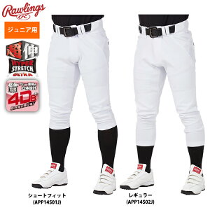 [OX N싅 WjAp 4D8+PLUS jtH[pc EgnCp[Xgb`pc zCg APP14S01J-02J raw24ss