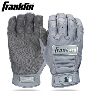 y J[ tN 싅p obeBO O[ VRv ^ V[vXL g N CFX PRO CHROME 20597 fra25ss