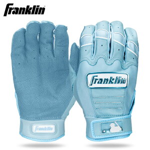 y J[ tN 싅p obeBO JCiu[ TbNX VRv ^ V[vXL g N CFX PRO HI-LITE 20896 fra25ss