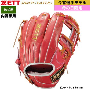 y ZETT   Ou p ̓ \tgoNz[NX {I胂f vXeC^X BRGB32576M zet25ss