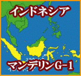 インドネシア　マンデリンG-1　200g　芭蕉珈琲