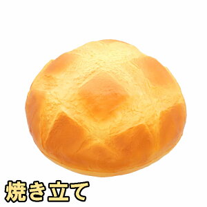 u[ XNC[Y u[ hD Jp[jij