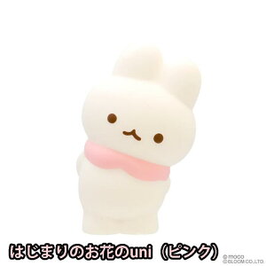 u[ XNC[Y sGjEj }VXNC[Y