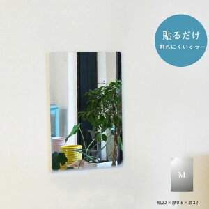  ~[ \邾 ɂ AN~[ y  ǖ p  rO y ^ i Y ɂ 񂵂~[ AN-M (22×0.5×32)