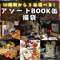 10種類から3缶選べる！アソートBOOK缶紅茶セレクトセット（ティーバッグ32袋入り）18日より順次発送 2026…