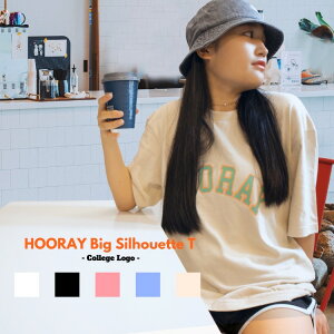 ؍t@bV fB[X Y rbOVGbg LbY ؍ _Xߑ  ؍TVc _X K ߑ qbvzbv rbOTVc t ăgbvX }CEFA _X