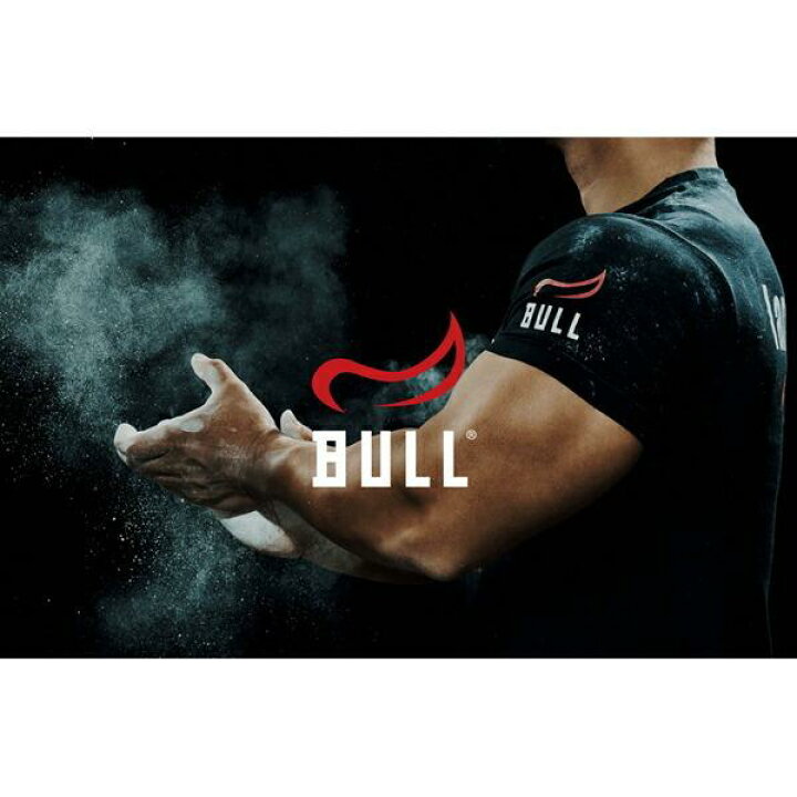 楽天市場】BULL ブル セラミック シャフト （旧・オリンピック 