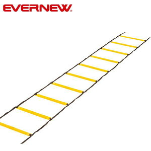 Goj[ \tg_[g[jO[v [J[̂ߑs [EVERNEW]