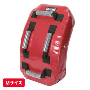 CT~ ^[|~bg MTCYi44×30×10cmj [ISAMI] X|[cZ oXPbg{[ XLMA R^Ng tBWJK iZ {NVO~bg W g[jO ی h 