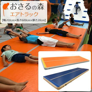 GAgbN GA}bg {݌ y󒍐Yi ԕiEsiz(200cm×600cm×20cmj s [̐X]