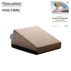 tbNXNbVMINI+DVDZbg qp g150cmx܂ TevX Xgb`⏕ JrNbV _ Ҋ֐  Tarzan ^[U