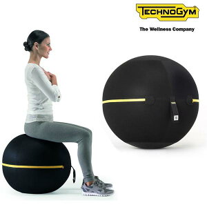 eNmW ANeBuVbeBO oX{[`FA 55cm WELLNESS BALL Technogym [J[i g[jO tBbglX e[N