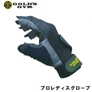 vfBXO[u fB[XO[u GOLD'S GYM_G S[hWMA S[hW ԕiEsZ[i