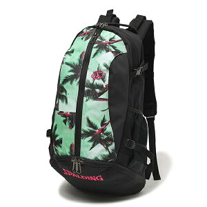 PCW[ p[c[ [X|fBO SPALDING] y40-007PAzoXP bN obNpbN  K oXPbg{[