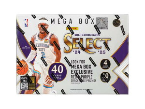 Panini 2024/25 Select Basketball ���K�{�b�N�X Red & Purple Cracked Ice