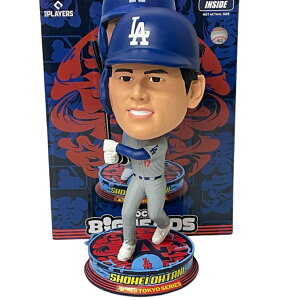 JĕI T[X hW[X 2025 V[Y AEFCW[W rbOwbh {uwbh9.5C`24cm Foco 2025