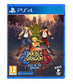 Double Dragon Gaiden: Rise of the Dragons 北米版 PS4 プレイステーション4 海外版ソフト