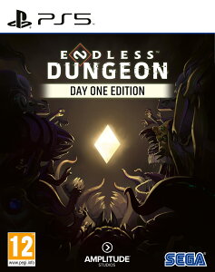 Endless Dungeon Day One Edition (PS5) �k�Ĕ� PS5 �v���C�X�e�[�V����5 �C�O�Ń\�t�g