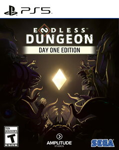 The Endless Dungeon: Launch Edition - PlayStation 5 �k�Ĕ� PS5 �v���C�X�e�[�V����5 �C�O�Ń\�t�g