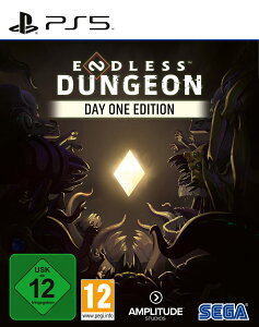 Endless Dungeon Day One Edition (PlayStation PS5) �k�Ĕ� PS5 �v���C�X�e�[�V����5 �C�O�Ń\�t�g