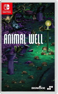 Animal Well - Nintendo Switch �k�Ĕ� Nintendo Switch �j���e���h�[�X�C�b�` �C�O�Ń\�t�g