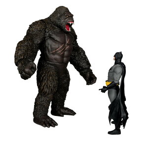 McFarlane Toys DC }`o[X obg} vs RO (WXeBX[O vs SW vs RO) 2pbN