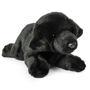 GUND ubNuh[  ʂ MTCY