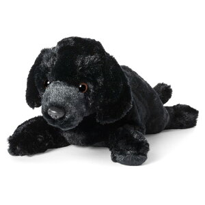 GUND COAL ubNuh[  ʂ