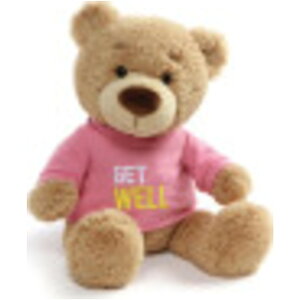 GUND TVc bZ[WefBxA ʂ sN