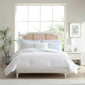 Laura Ashley �L���O �R���t�H�[�^�[�Z�b�g �X�[�p�[�\�t�g Quartet Pink �L���O