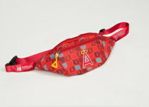 AJ胍T[X GWFX EGXg|[` t@j[pbN by Santa Ana College