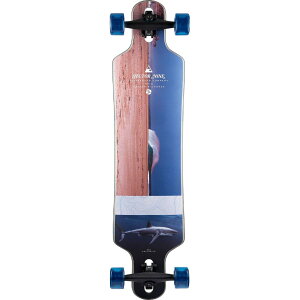 SECTOR 9 MERIDIAN RIPS �����O�{�[�h �X�P�[�g�{�[�h Swell Photo Collection
