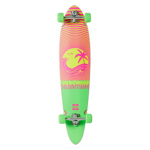DUSTERS CALIFORNIA DREAMING �����O�{�[�h �R���v���[�g 9.0 x 40 inch �s���e�[�� �N���[�U�[ �l�I���O���[��