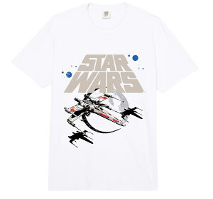 �X�^�[�E�H�[�Y Star Wars �f�X�E�X�^�[ X�E�C���O �A�v���[�` Death Star X-Wing Approach �������C�Z���X T�V���c ���� ���j�Z�b�N�X