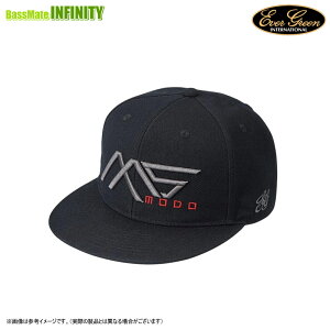 Go[O[ EVERGREEN@MS-modo tbgLbv ^Cv1 ubN y܂Ƃߑz